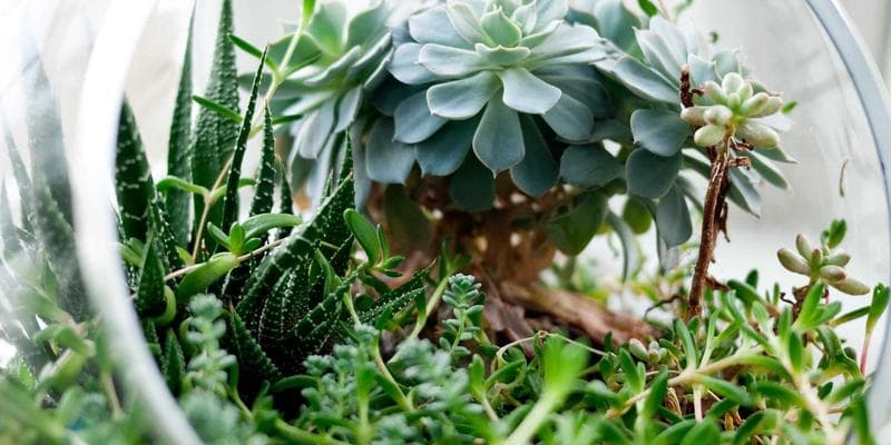 Perfekte Fotos für Ihre Anzeige: So verkaufen Sie schneller