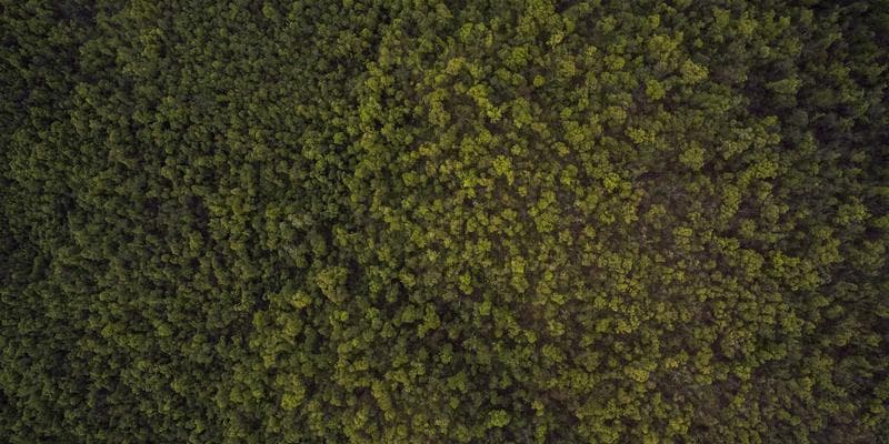 Wie Sie den richtigen Preis für Ihre Anzeige festlegen